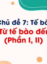 Bài 13. Từ tế bào đến cơ thể (Phần I, II)
